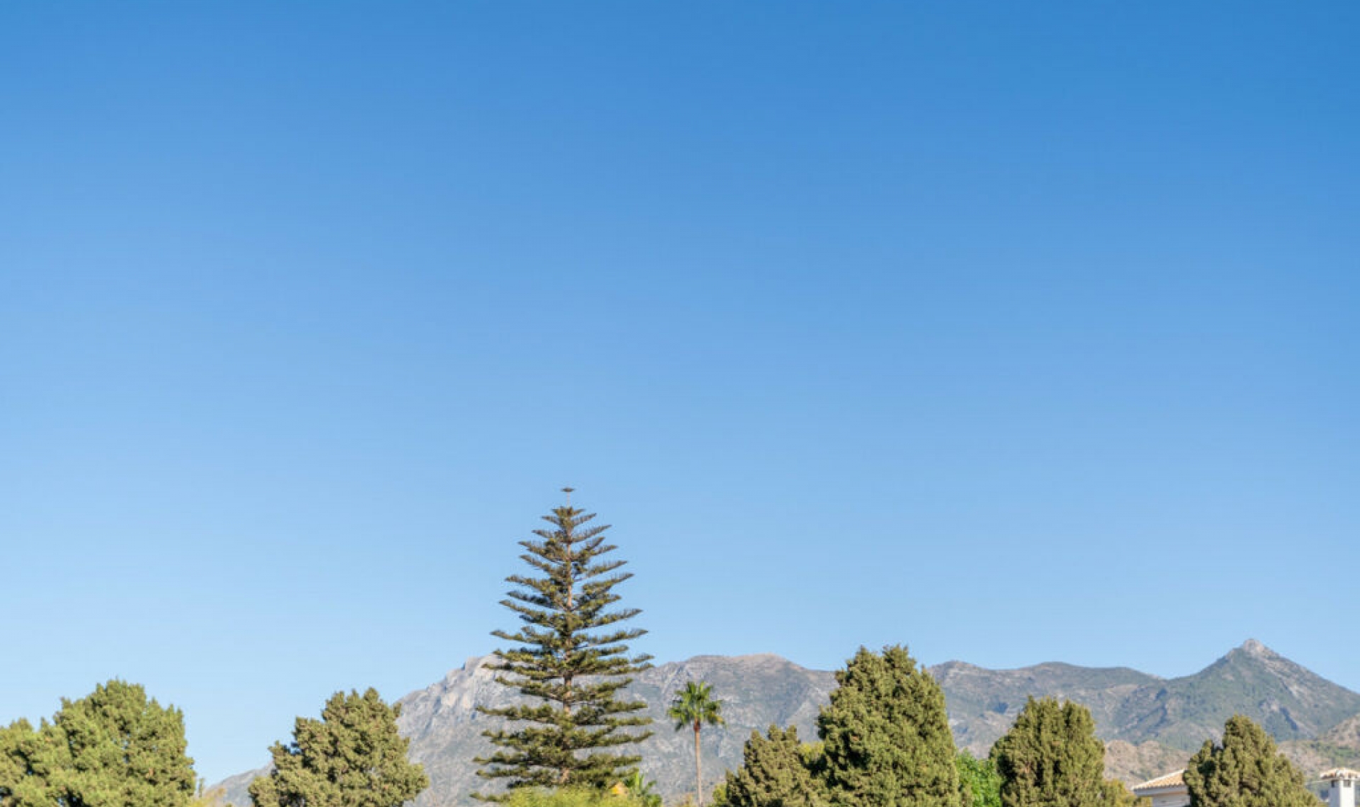 Resale - House -
Marbella