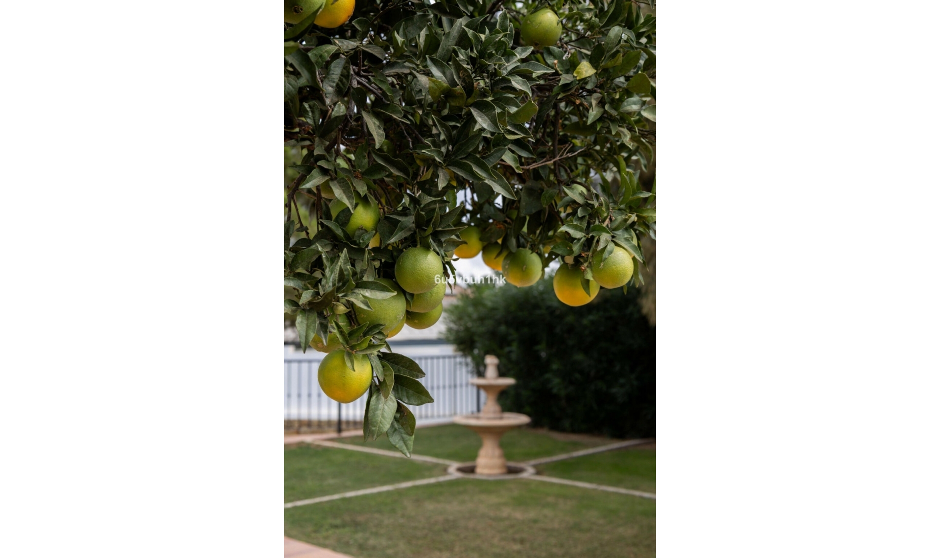 Resale - House -
Marbella