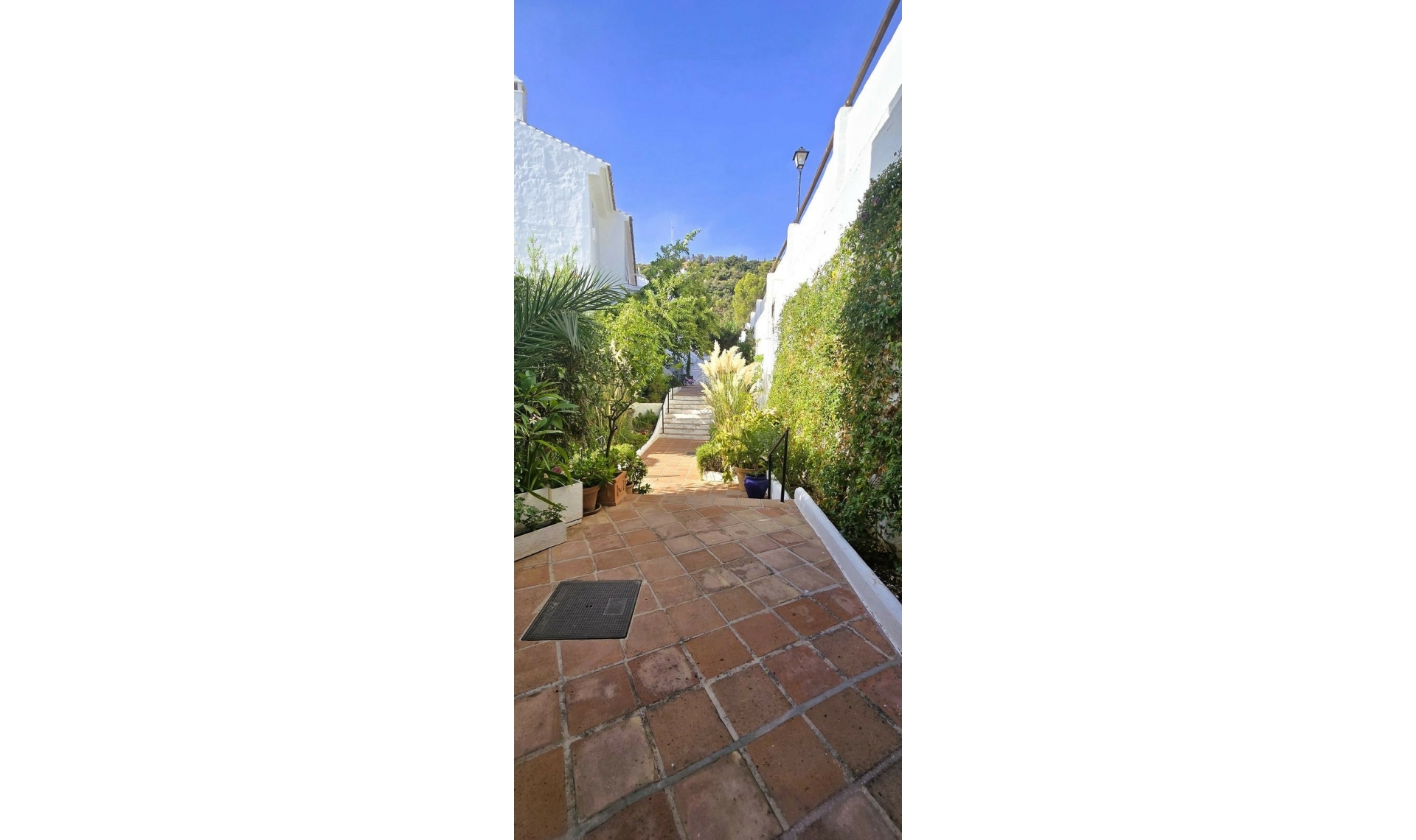 Resale - House -
Marbella