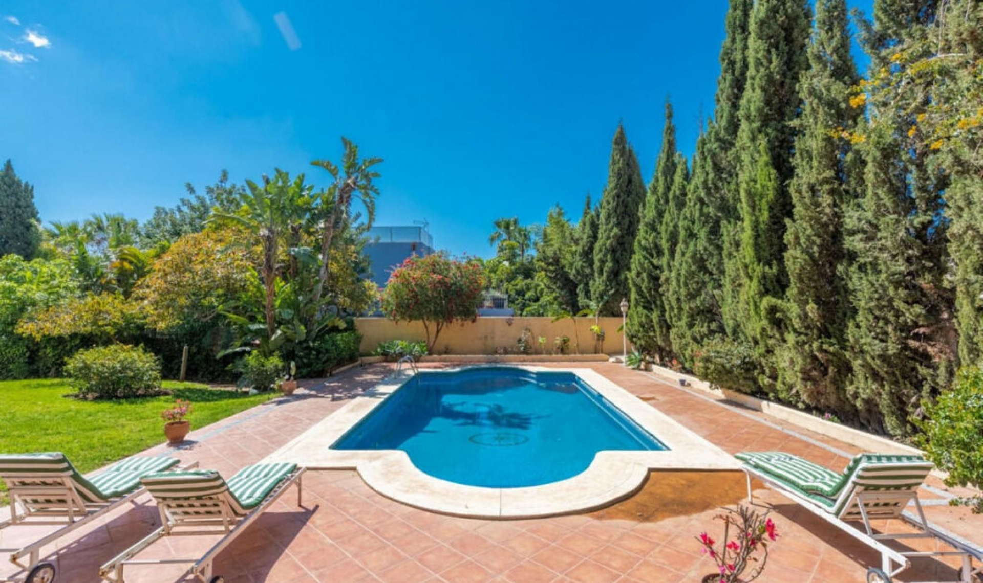 Resale - House -
Marbella