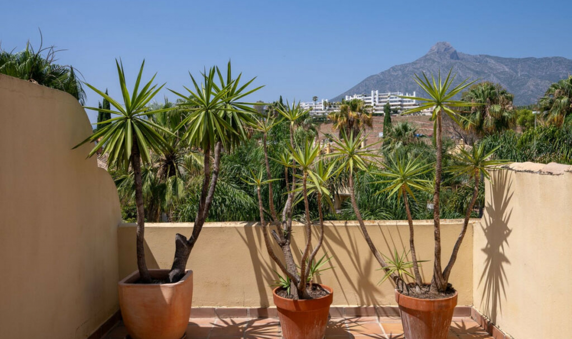 Resale - House -
Marbella