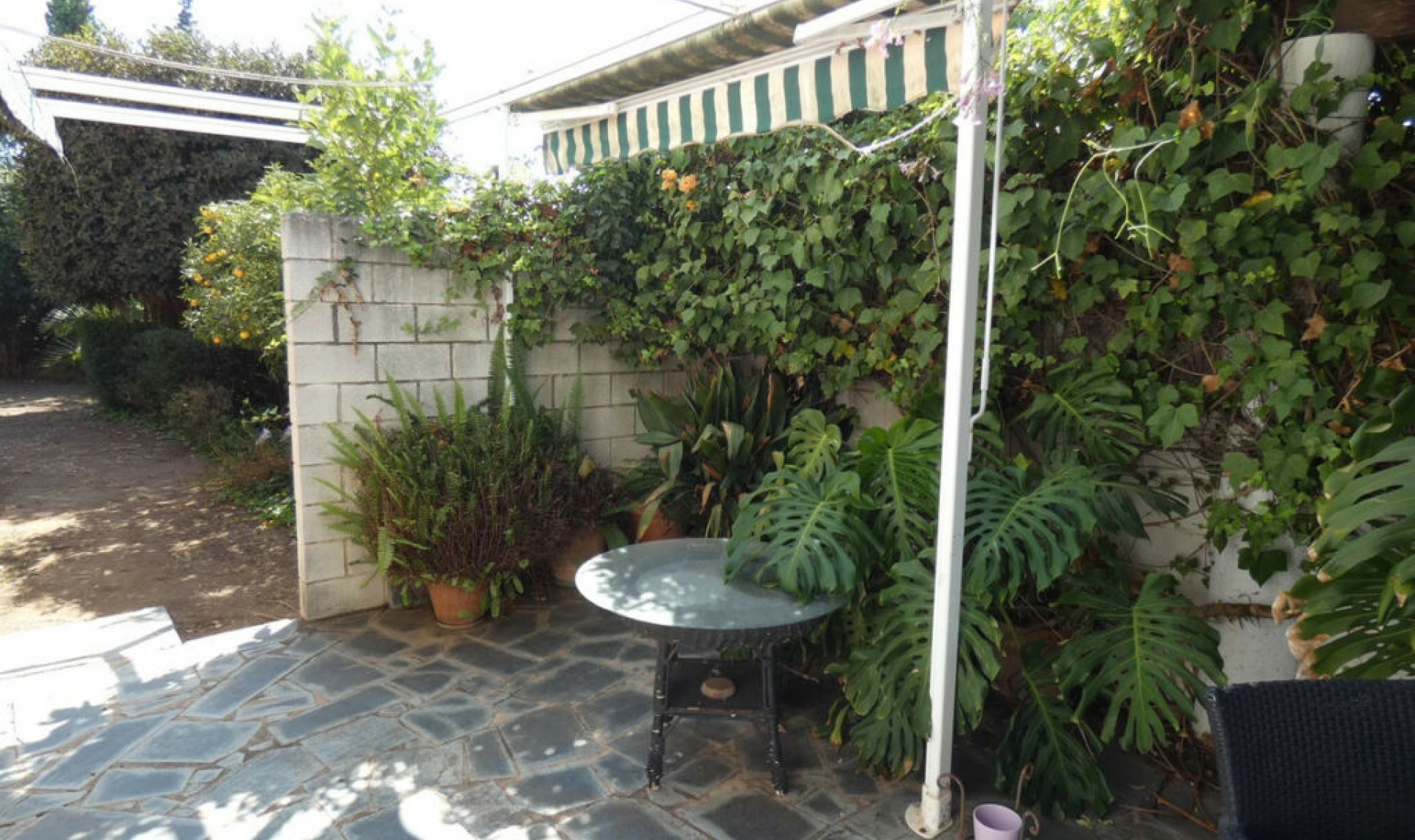Resale - House -
Marbella