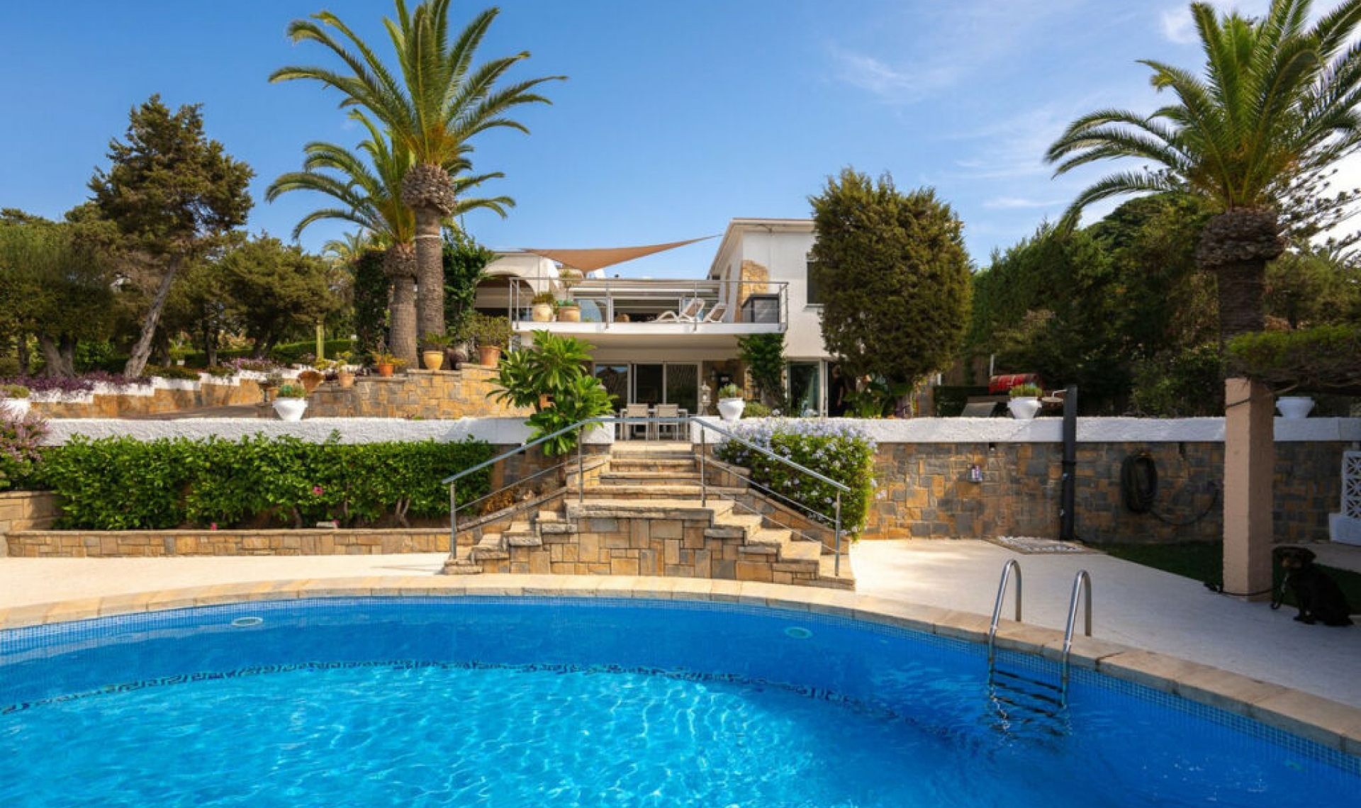 Resale - House -
Marbesa