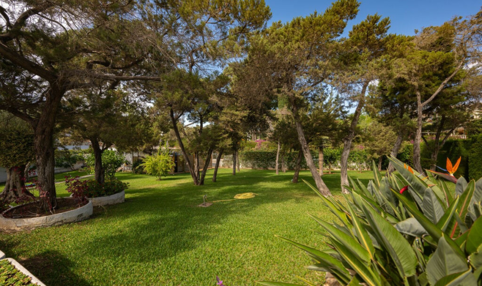 Resale - House -
Marbesa