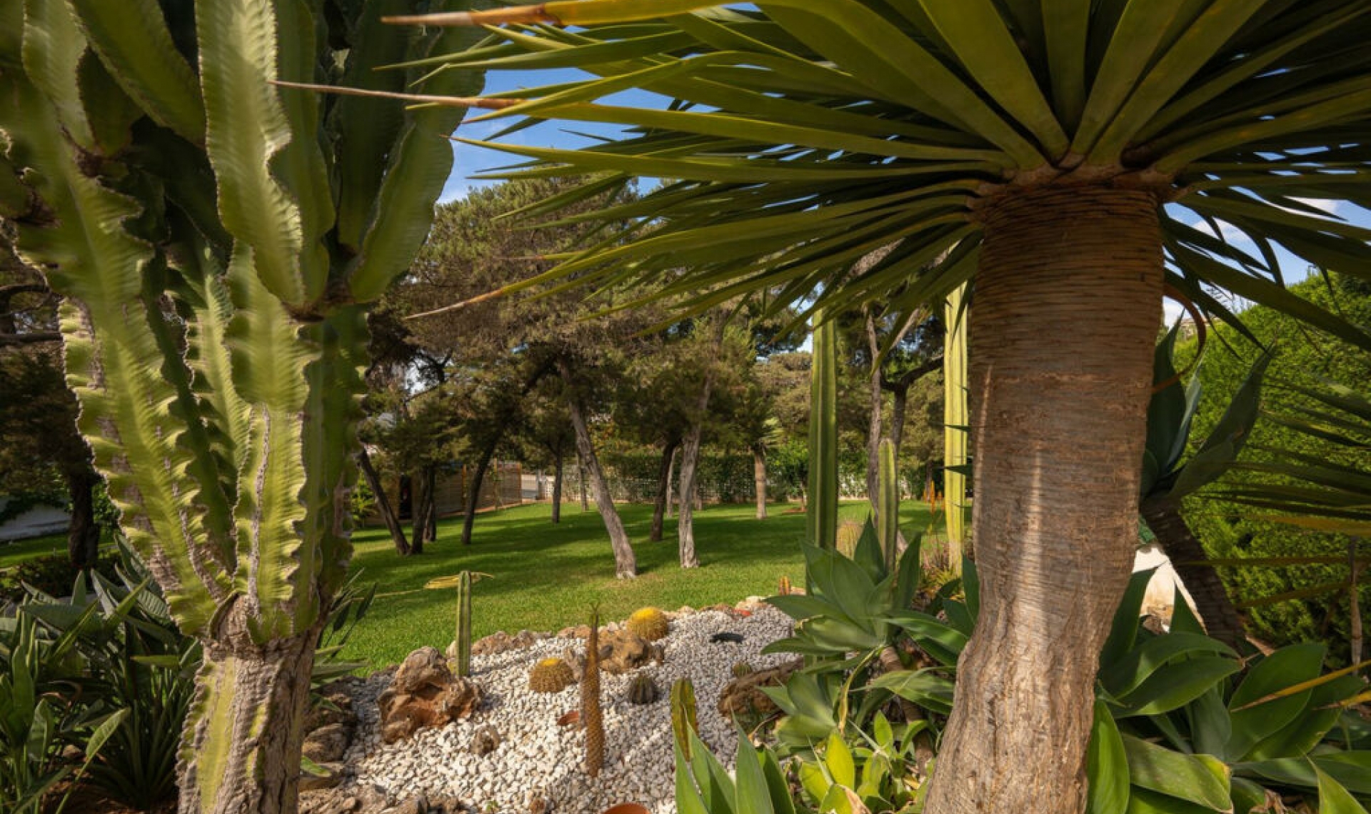 Resale - House -
Marbesa