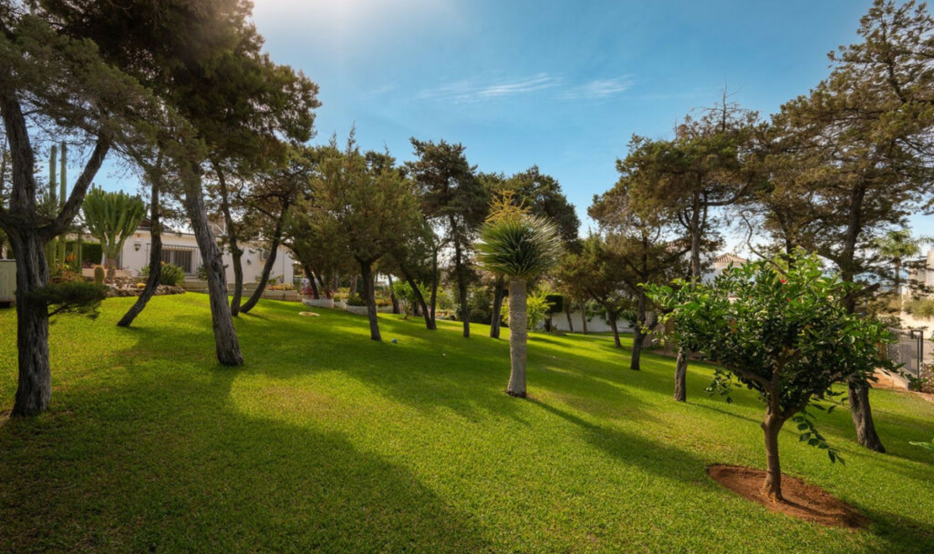 Resale - House -
Marbesa