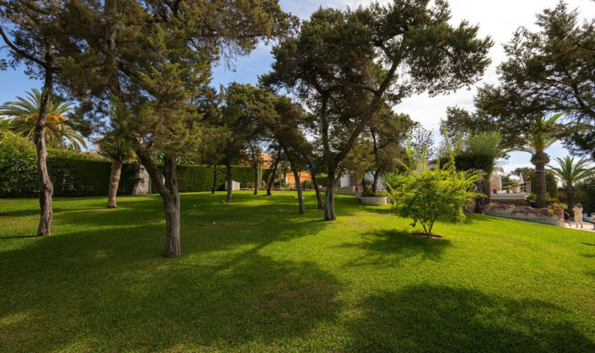 Resale - House -
Marbesa