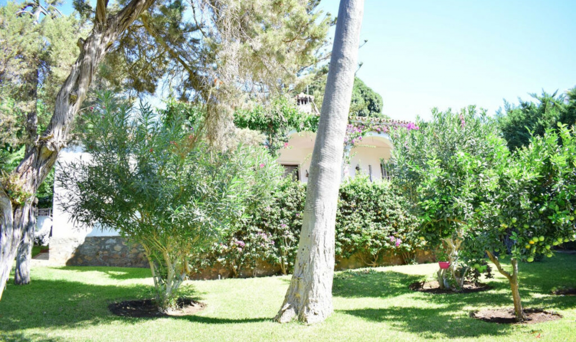 Resale - House -
Marbesa