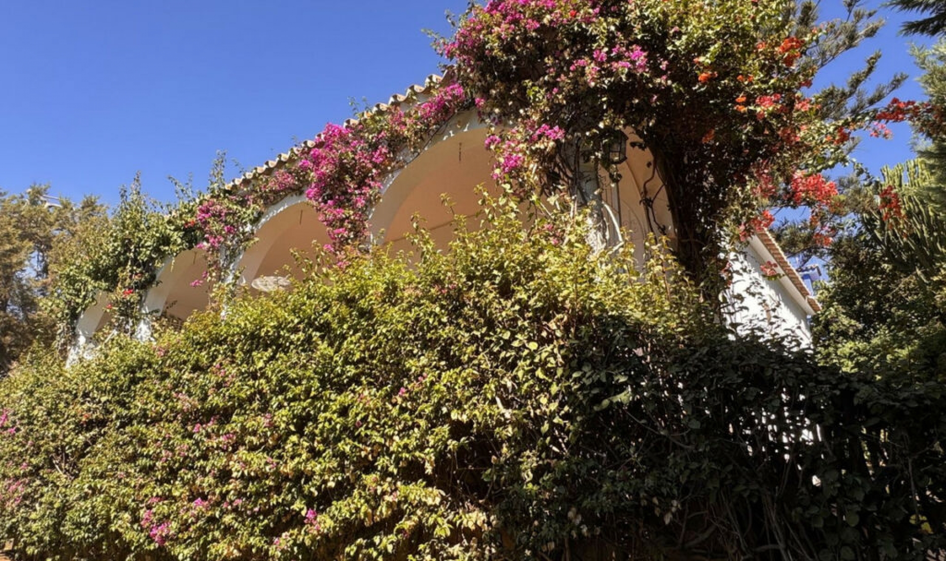 Resale - House -
Marbesa