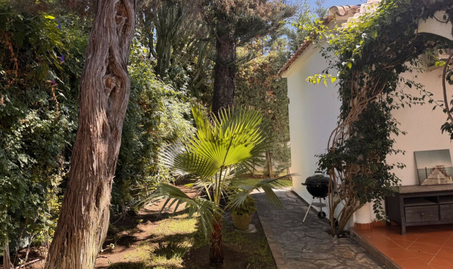 Resale - House -
Marbesa