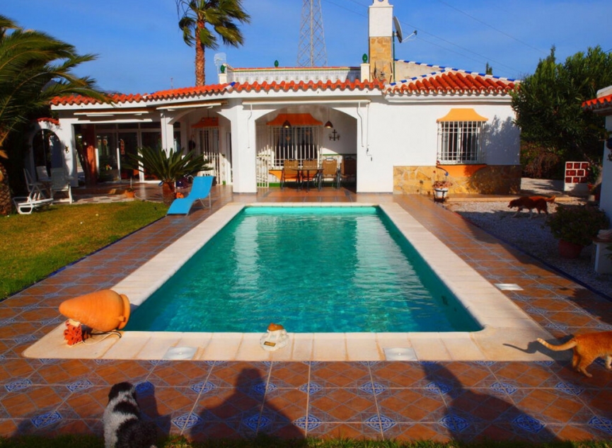 Resale - House -
Mezquitilla