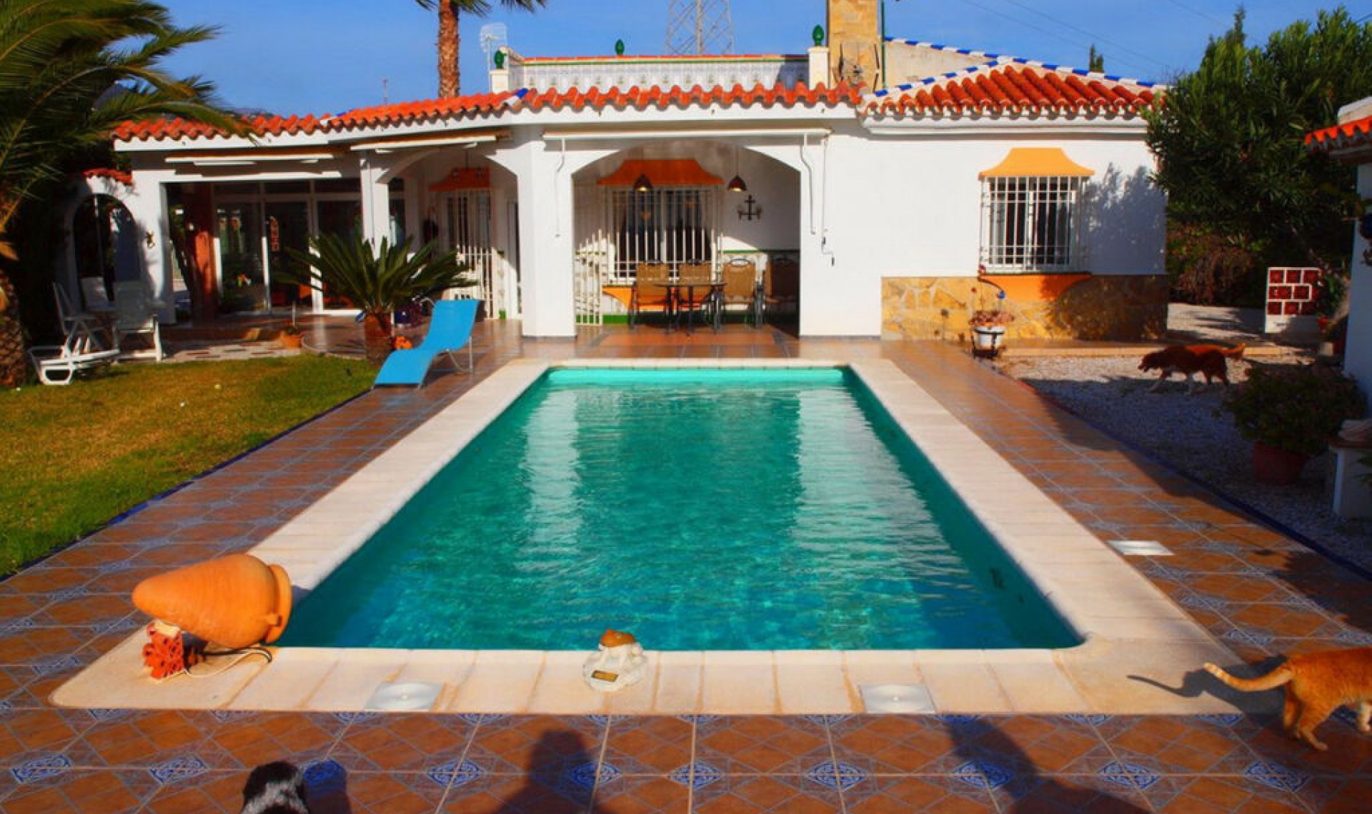 Resale - House -
Mezquitilla