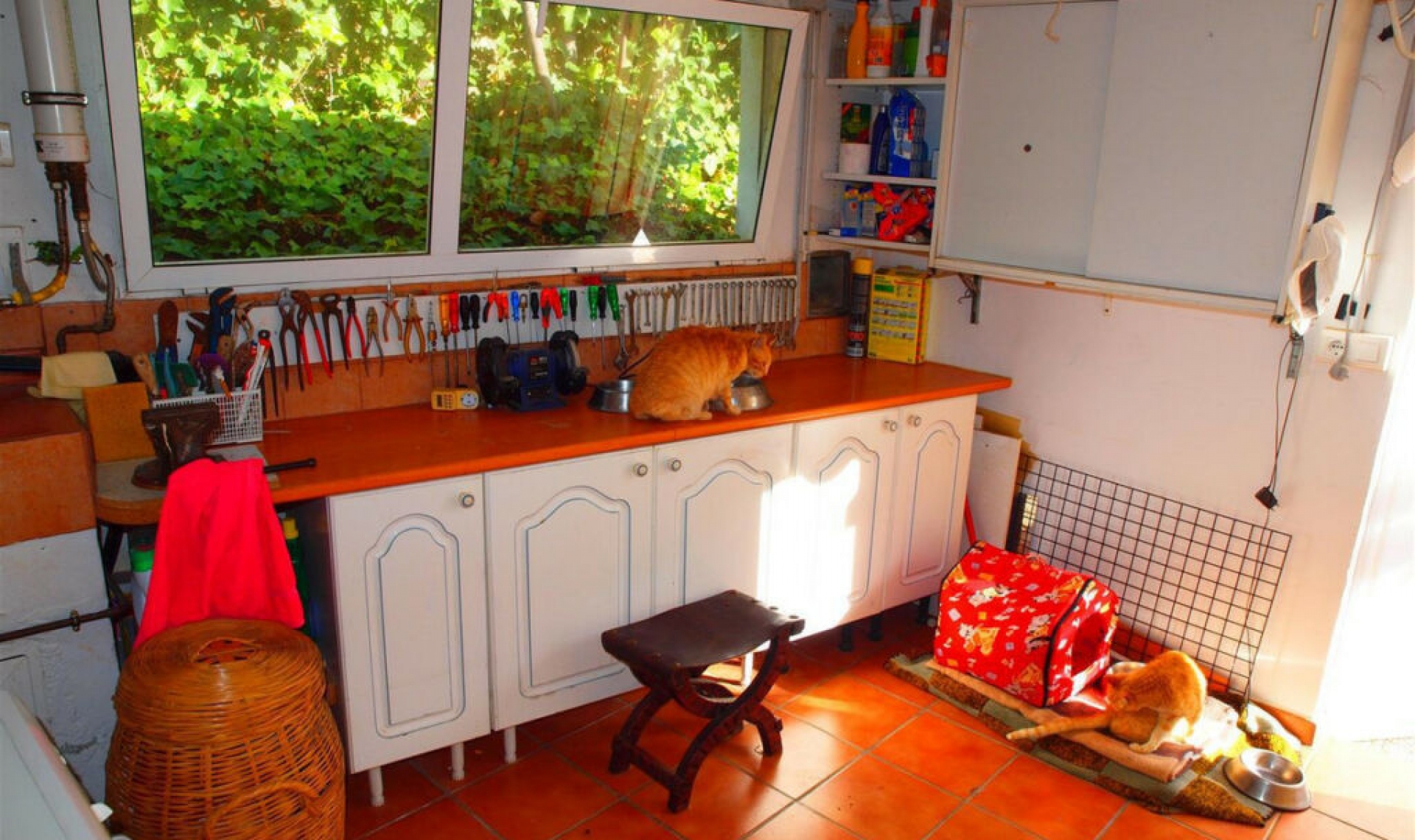 Resale - House -
Mezquitilla