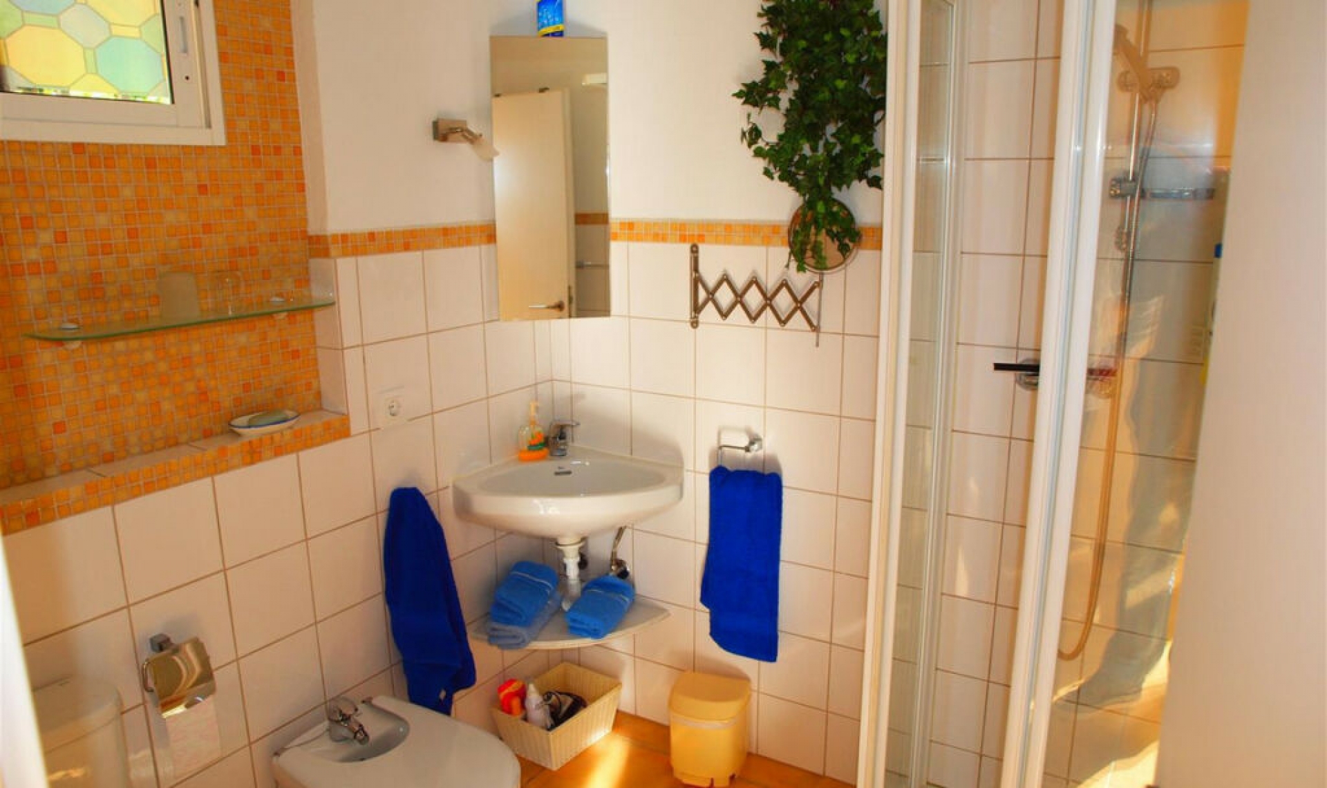 Resale - House -
Mezquitilla