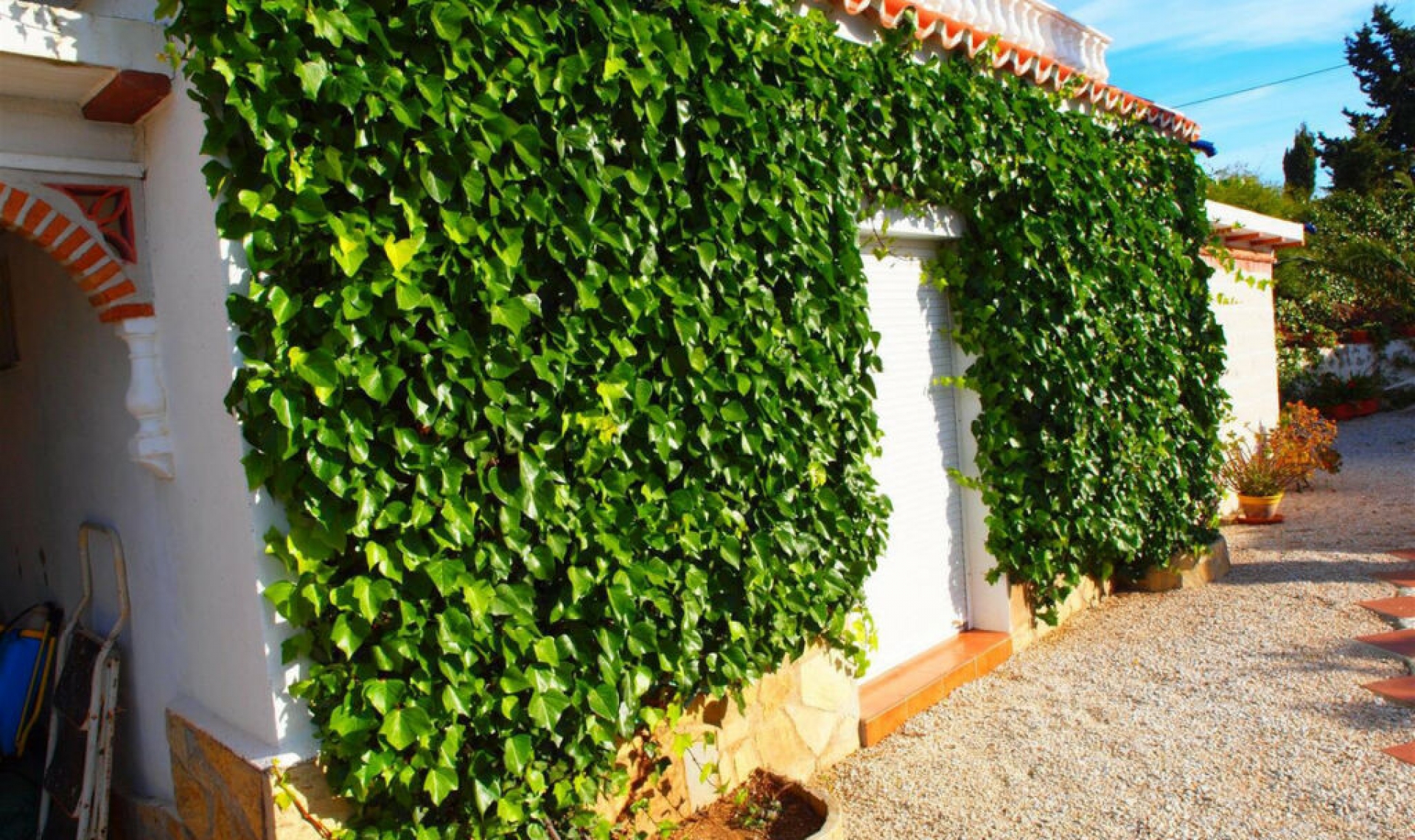 Resale - House -
Mezquitilla