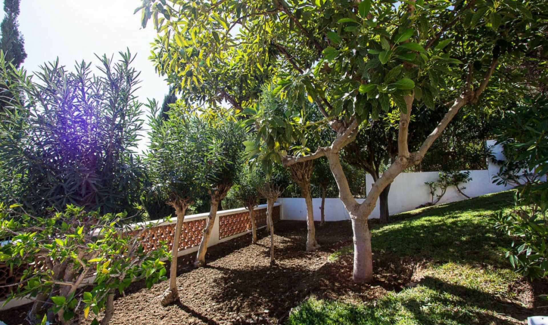 Resale - House -
Mijas Costa