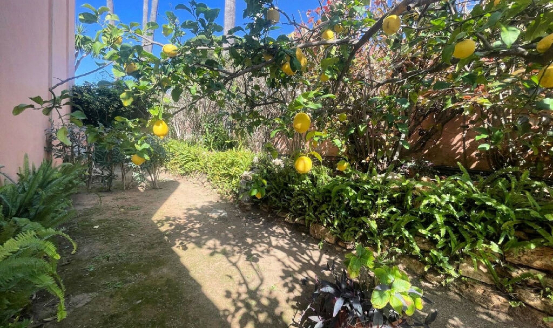 Resale - House -
Mijas Costa