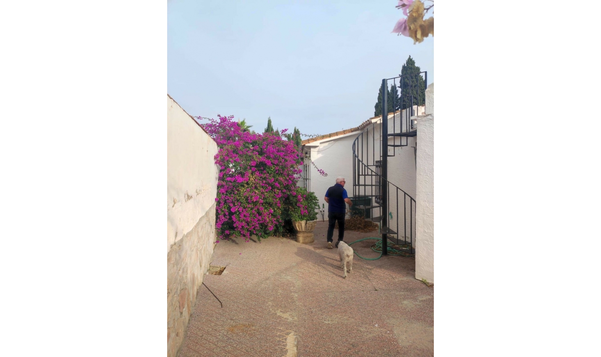 Resale - House -
Mijas