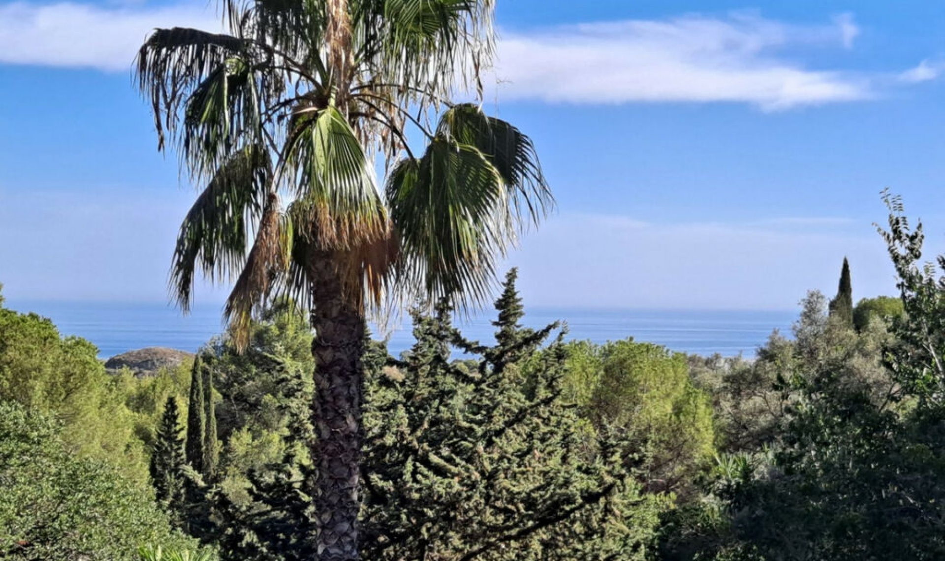 Resale - House -
Mijas
