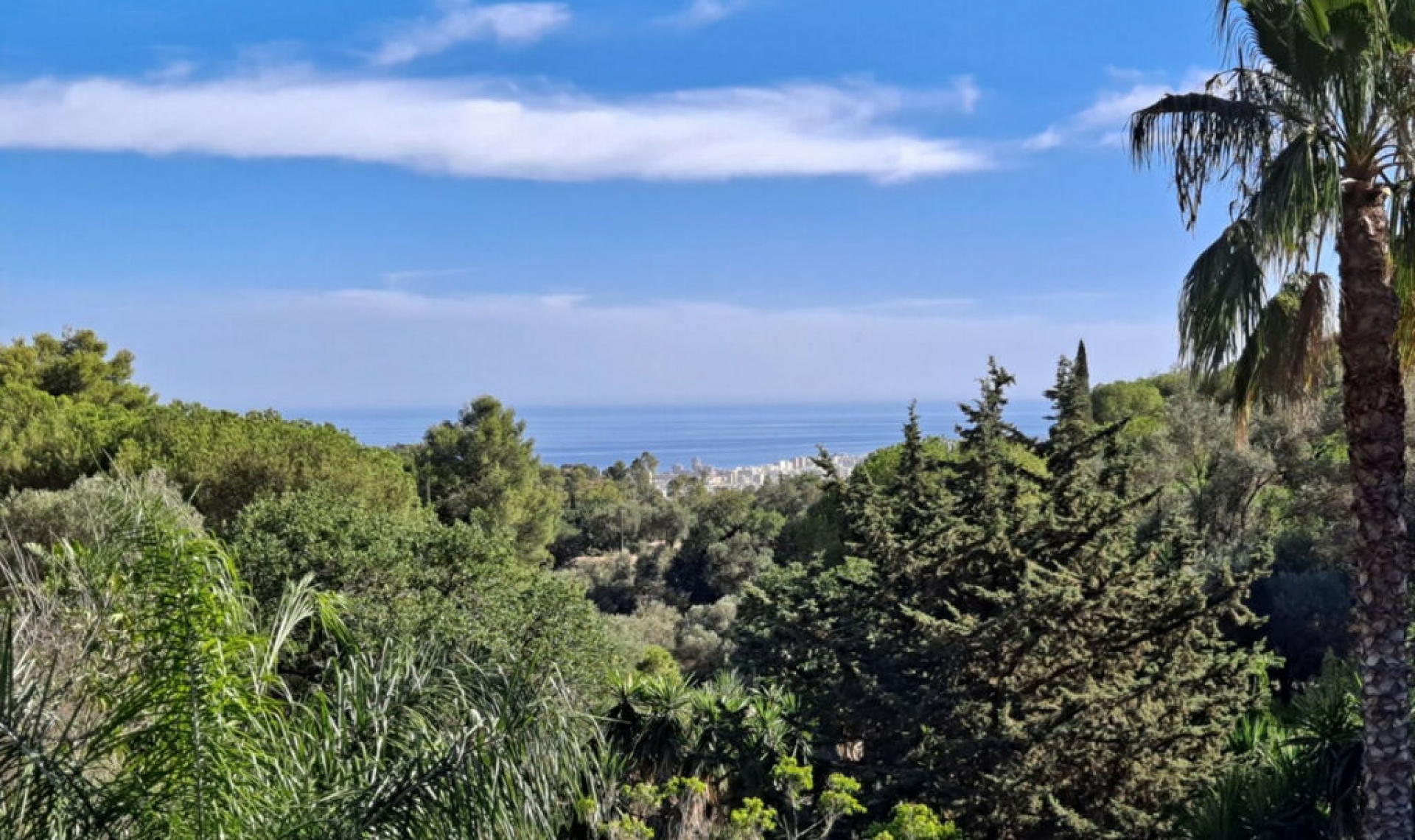 Resale - House -
Mijas