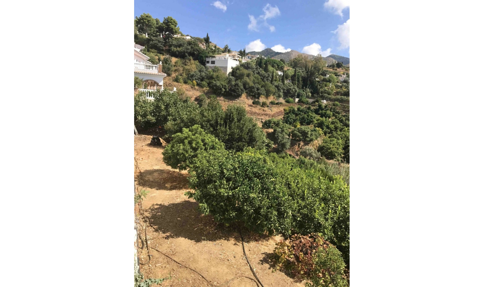 Resale - House -
Mijas