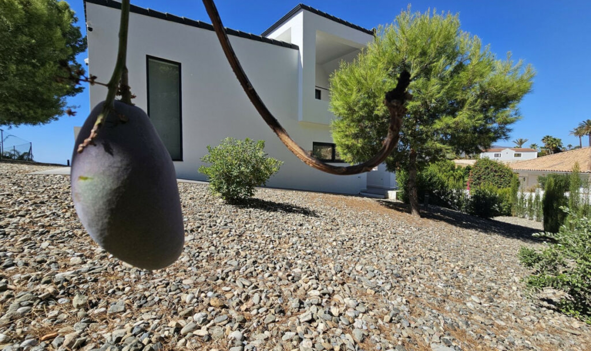 Resale - House -
Mijas