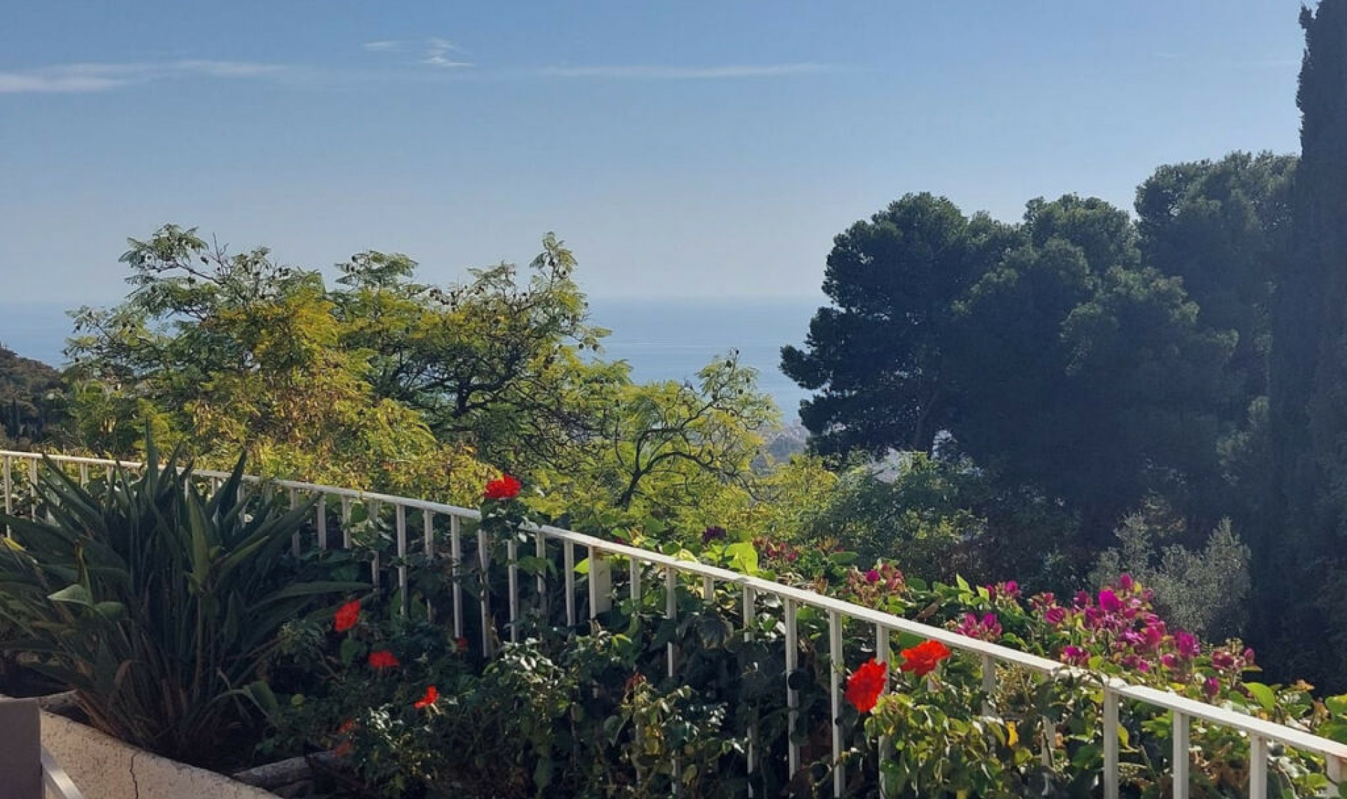 Resale - House -
Mijas