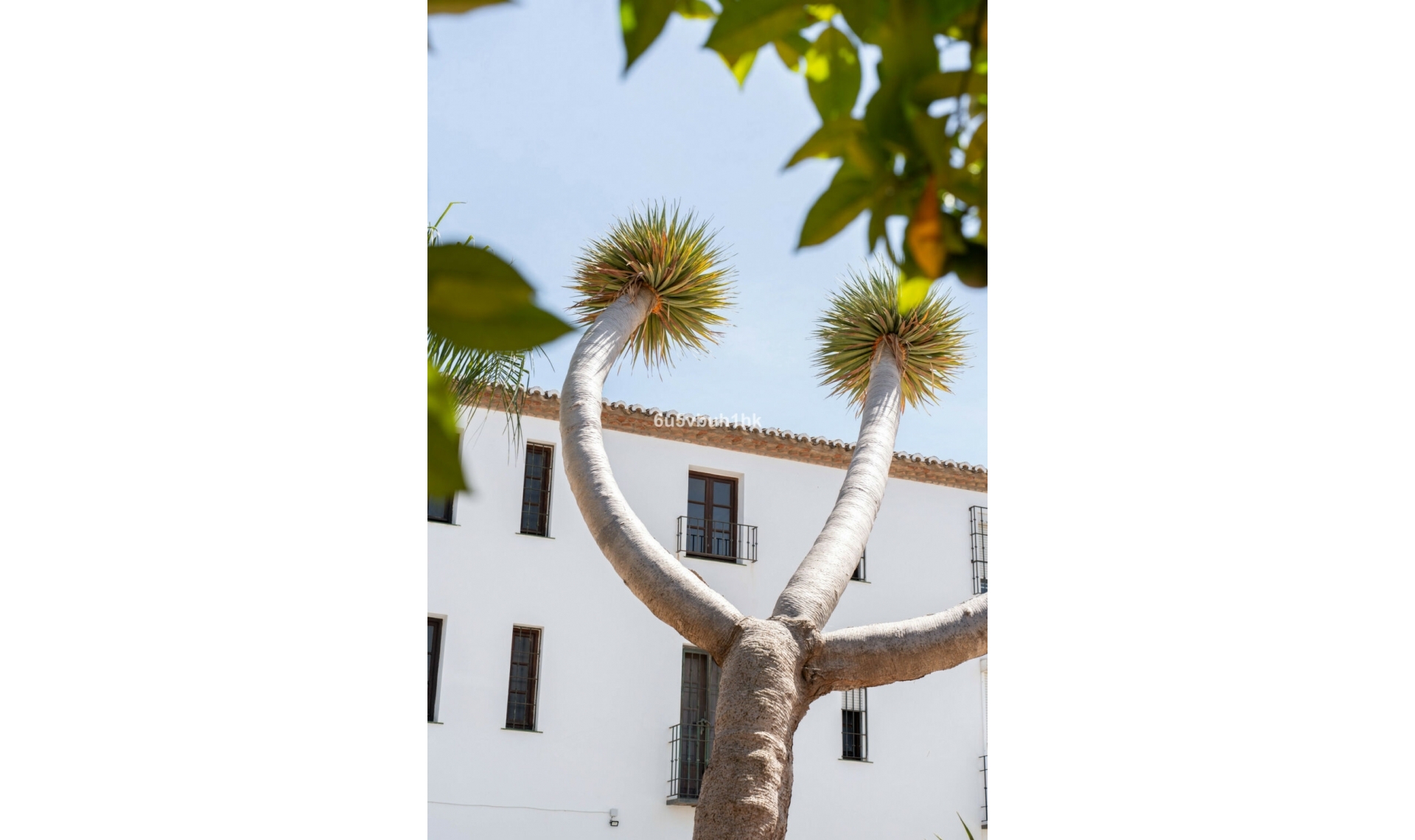 Resale - House -
Mijas