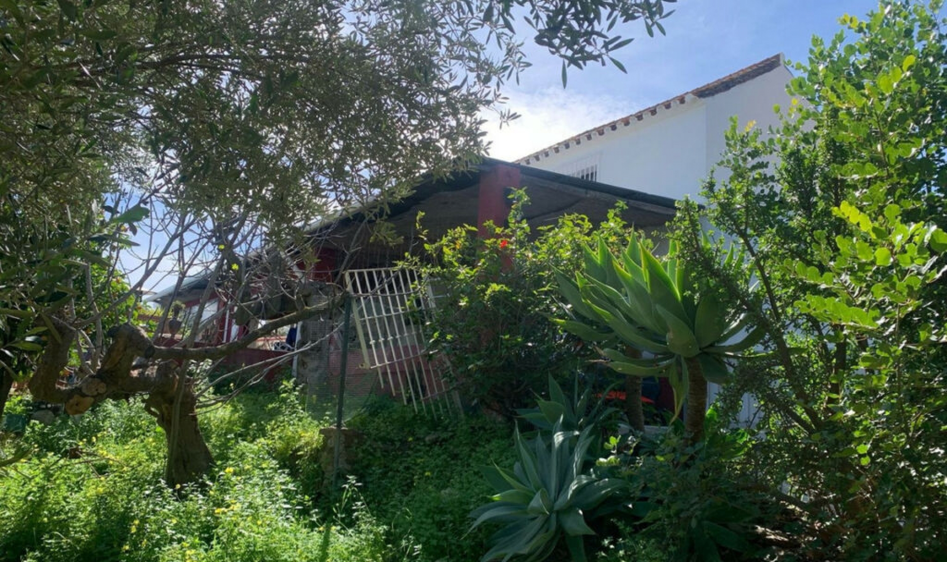 Resale - House -
Mijas