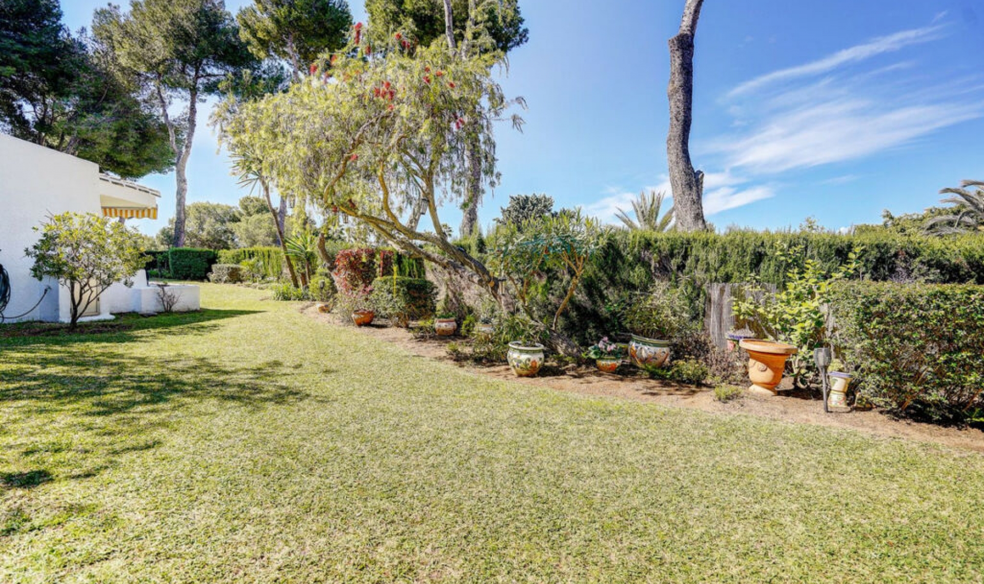 Resale - House -
Miraflores