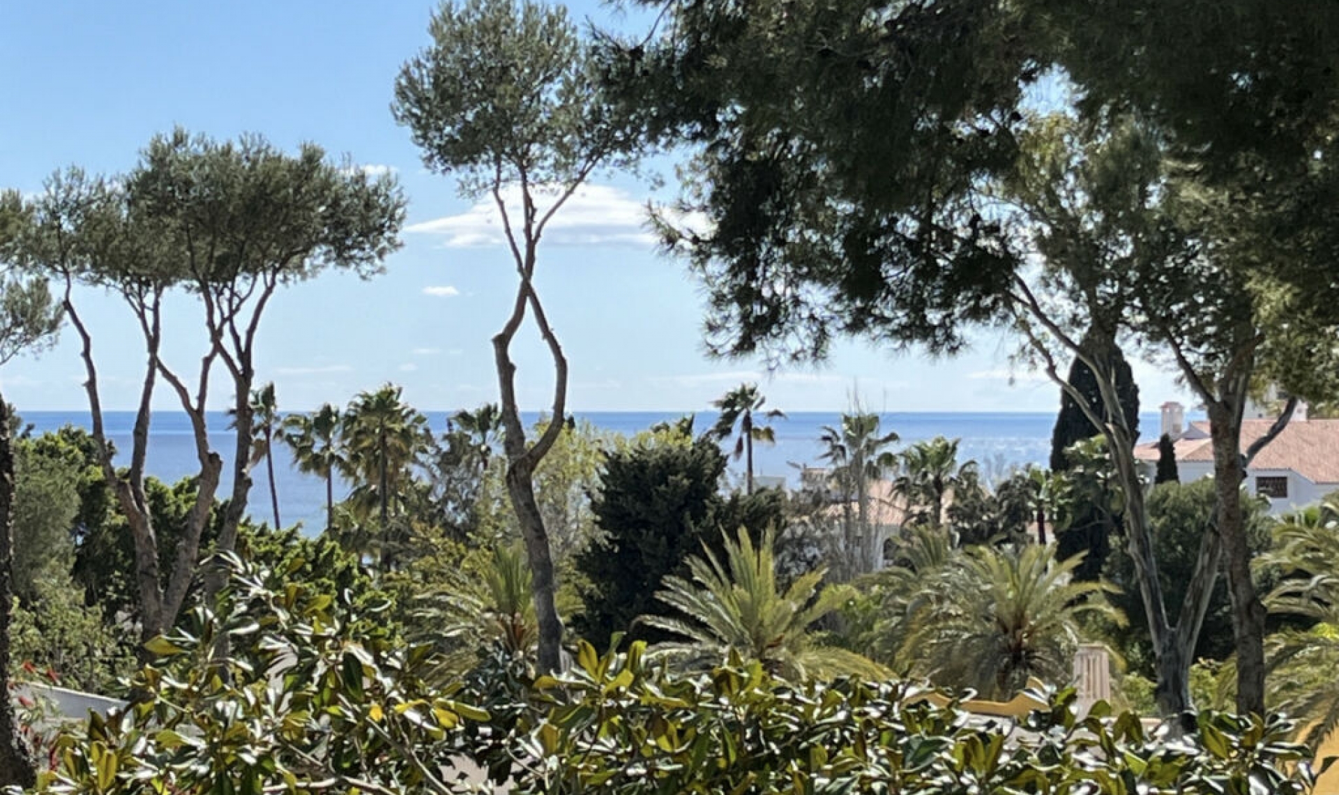 Resale - House -
Miraflores