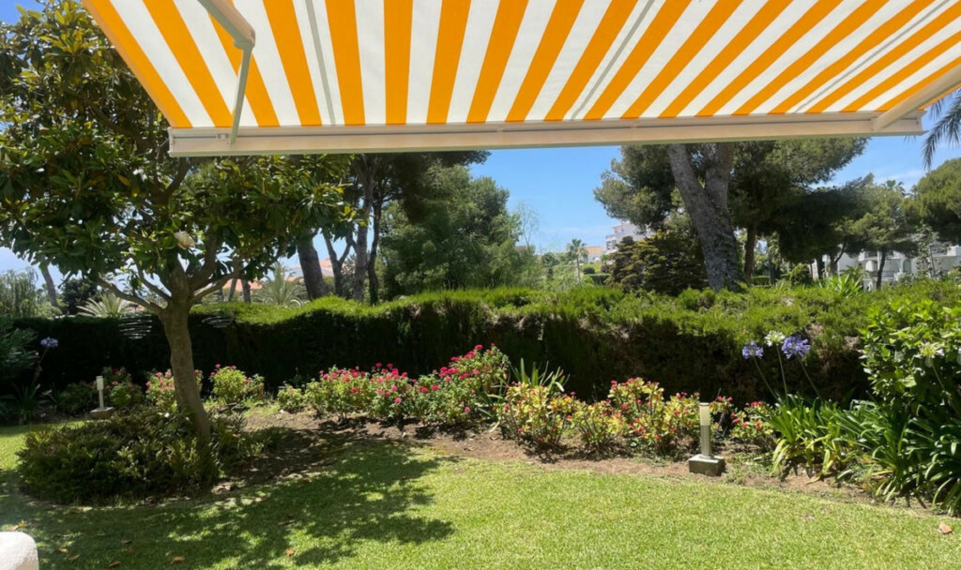 Resale - House -
Miraflores