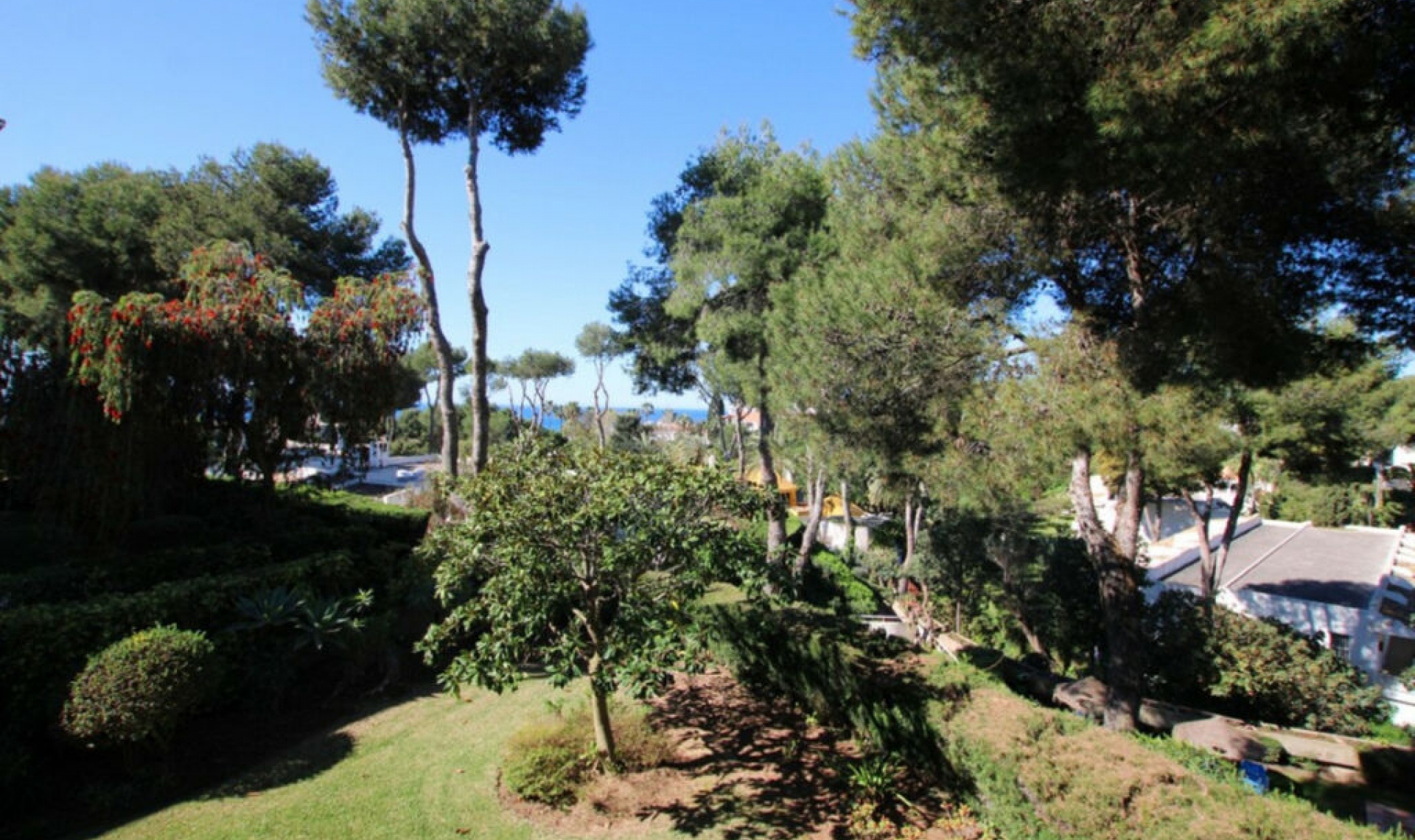 Resale - House -
Miraflores