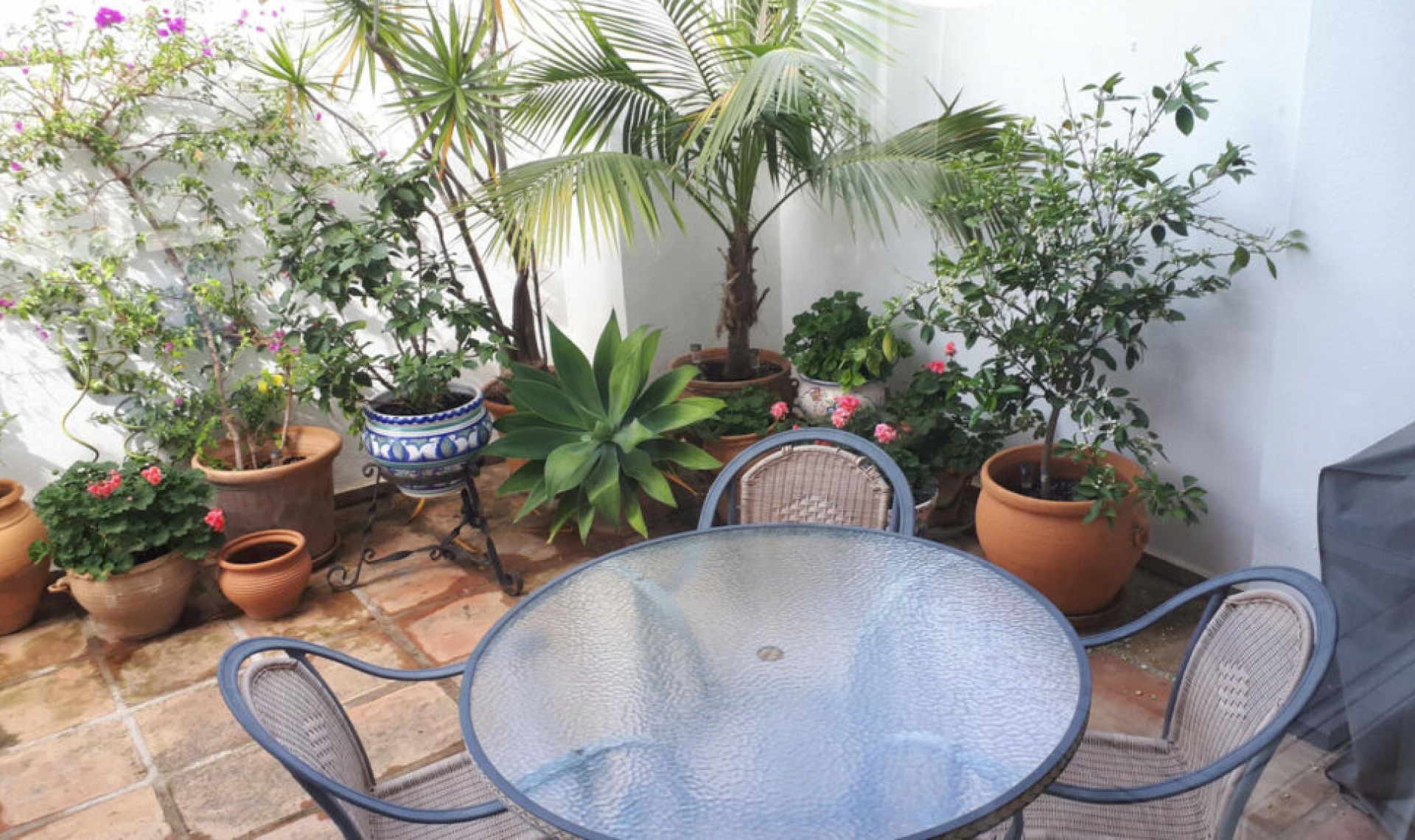 Resale - House -
Miraflores