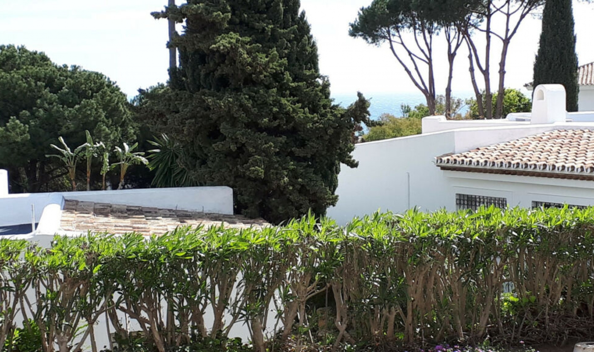 Resale - House -
Miraflores