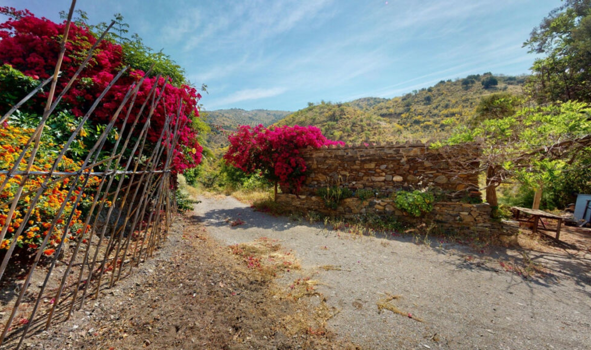 Resale - House -
Moclinejo