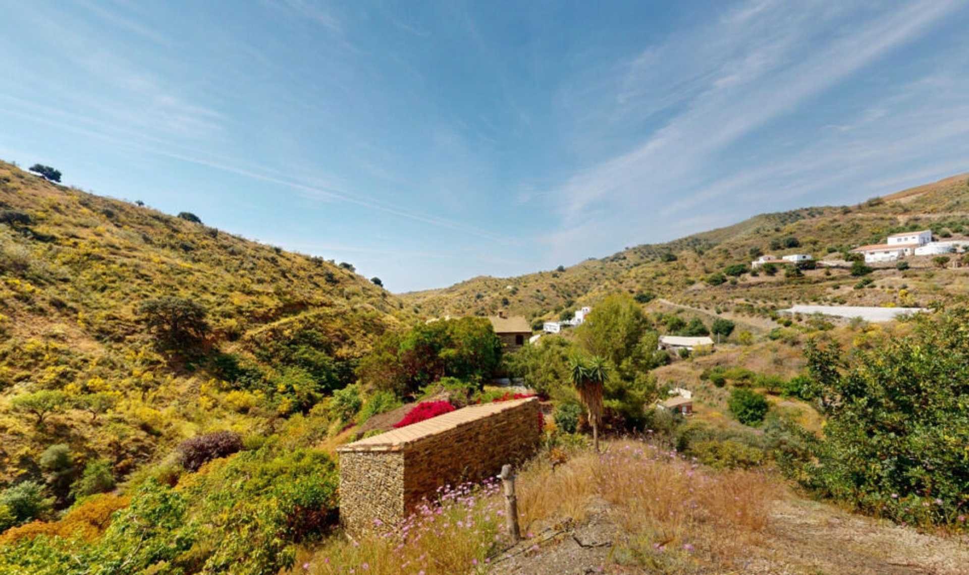 Resale - House -
Moclinejo