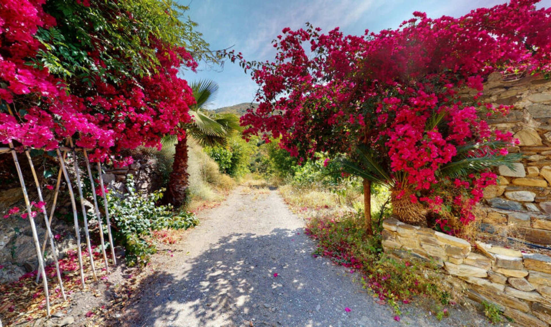 Resale - House -
Moclinejo