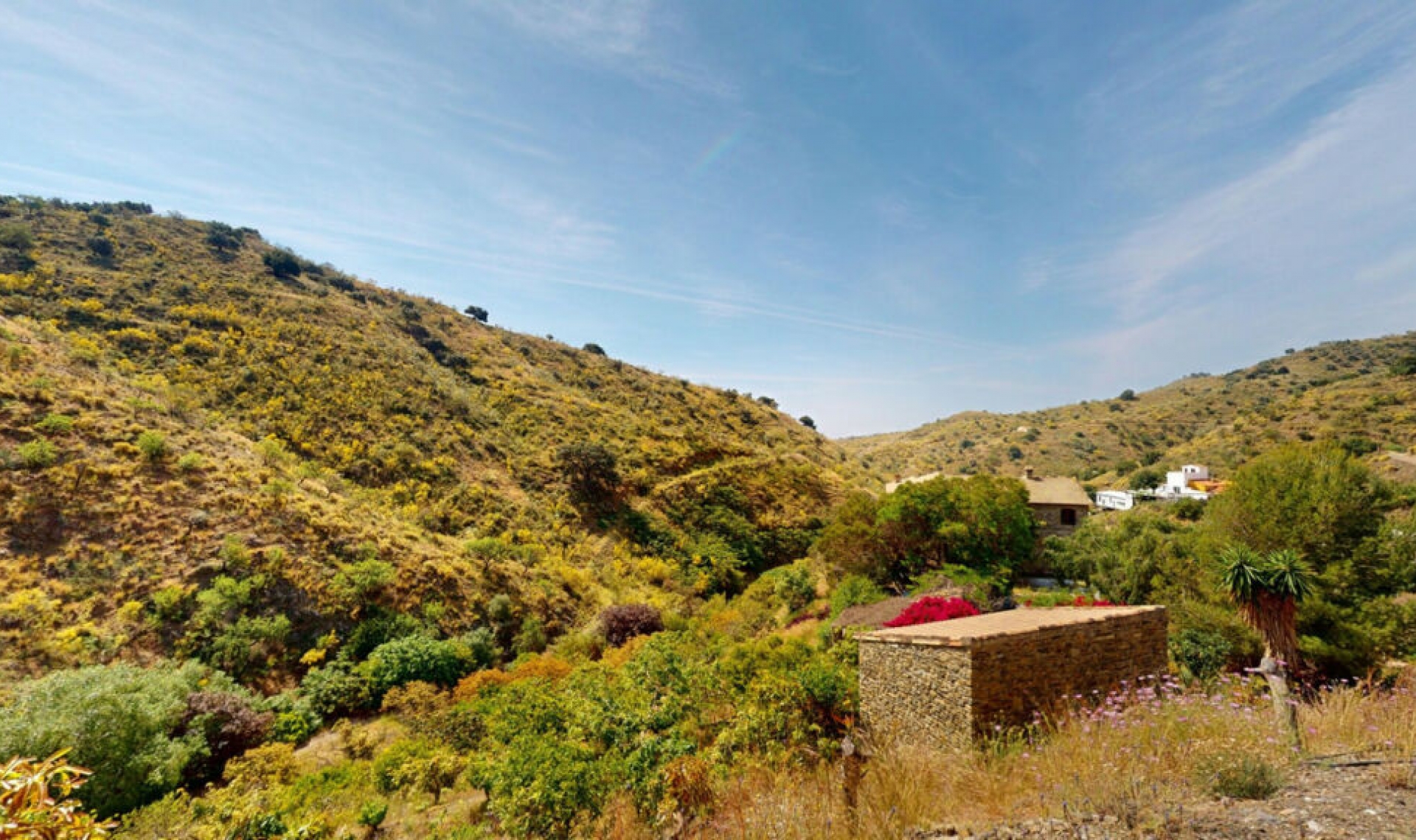 Resale - House -
Moclinejo