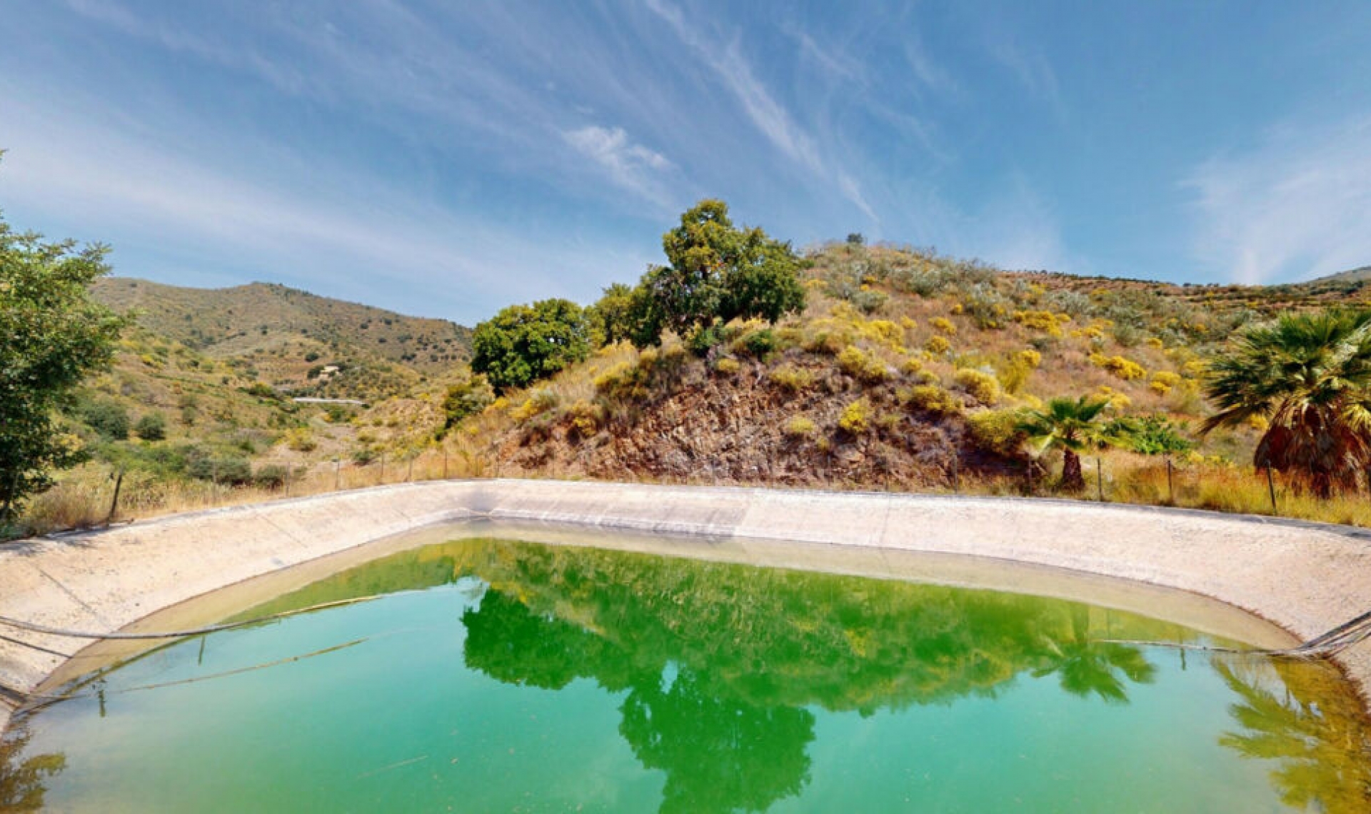 Resale - House -
Moclinejo