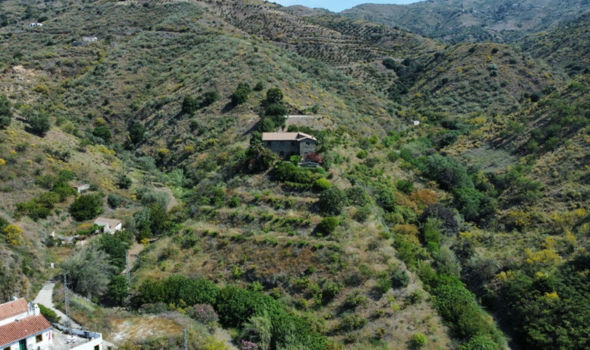 Resale - House -
Moclinejo