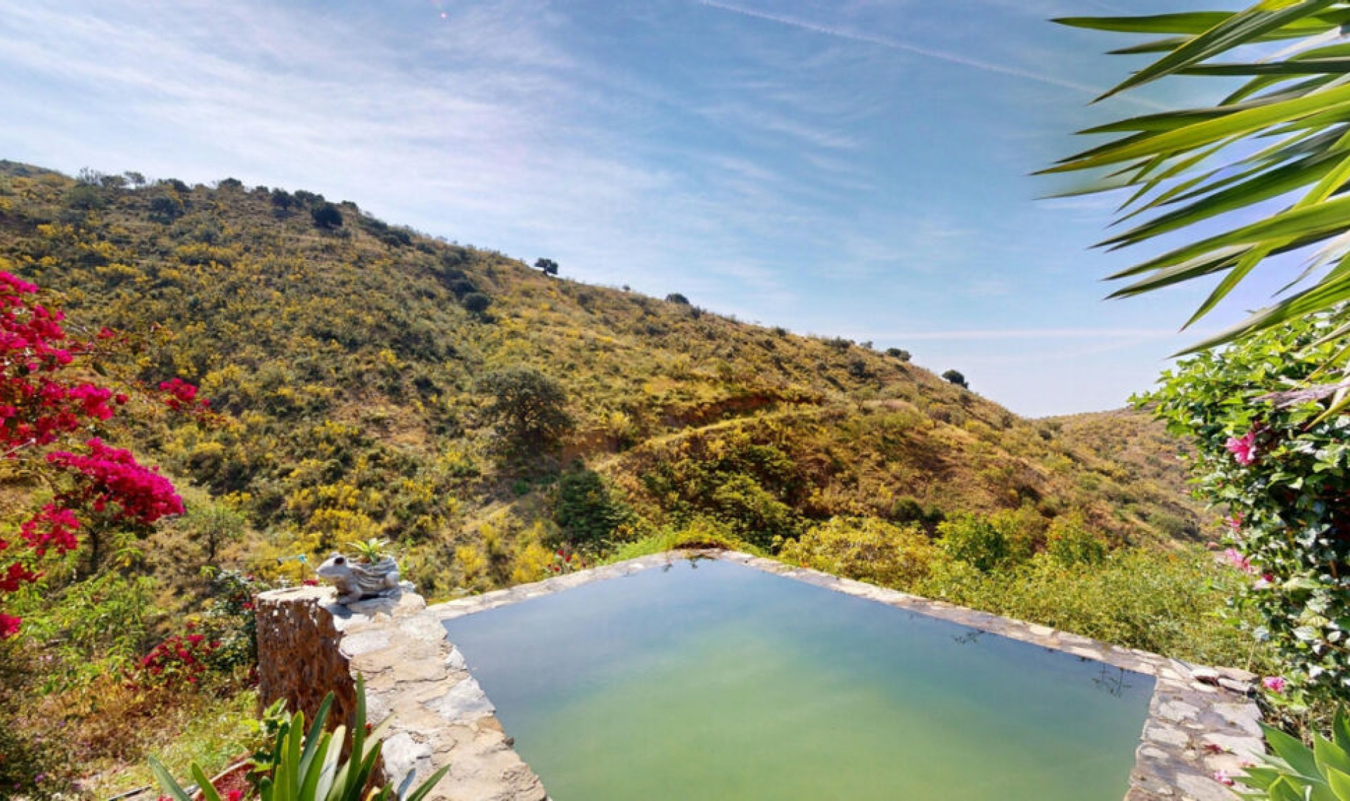 Resale - House -
Moclinejo