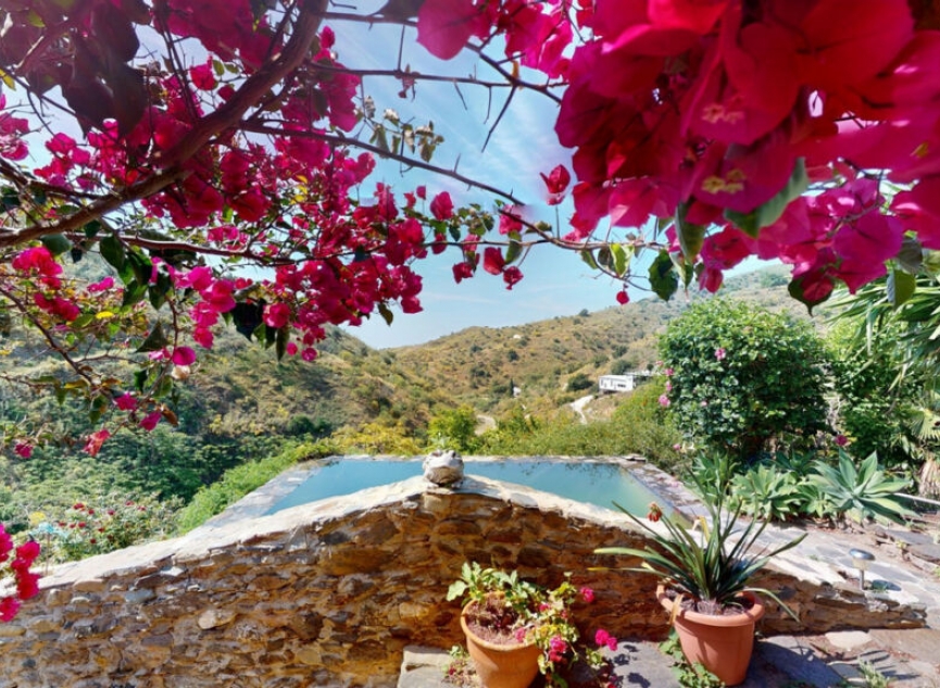 Resale - House -
Moclinejo