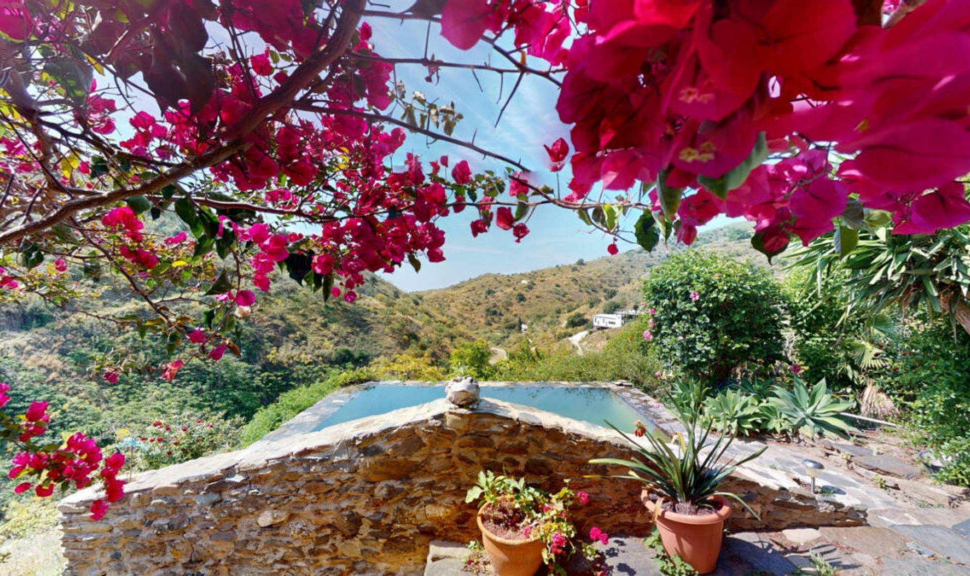 Resale - House -
Moclinejo