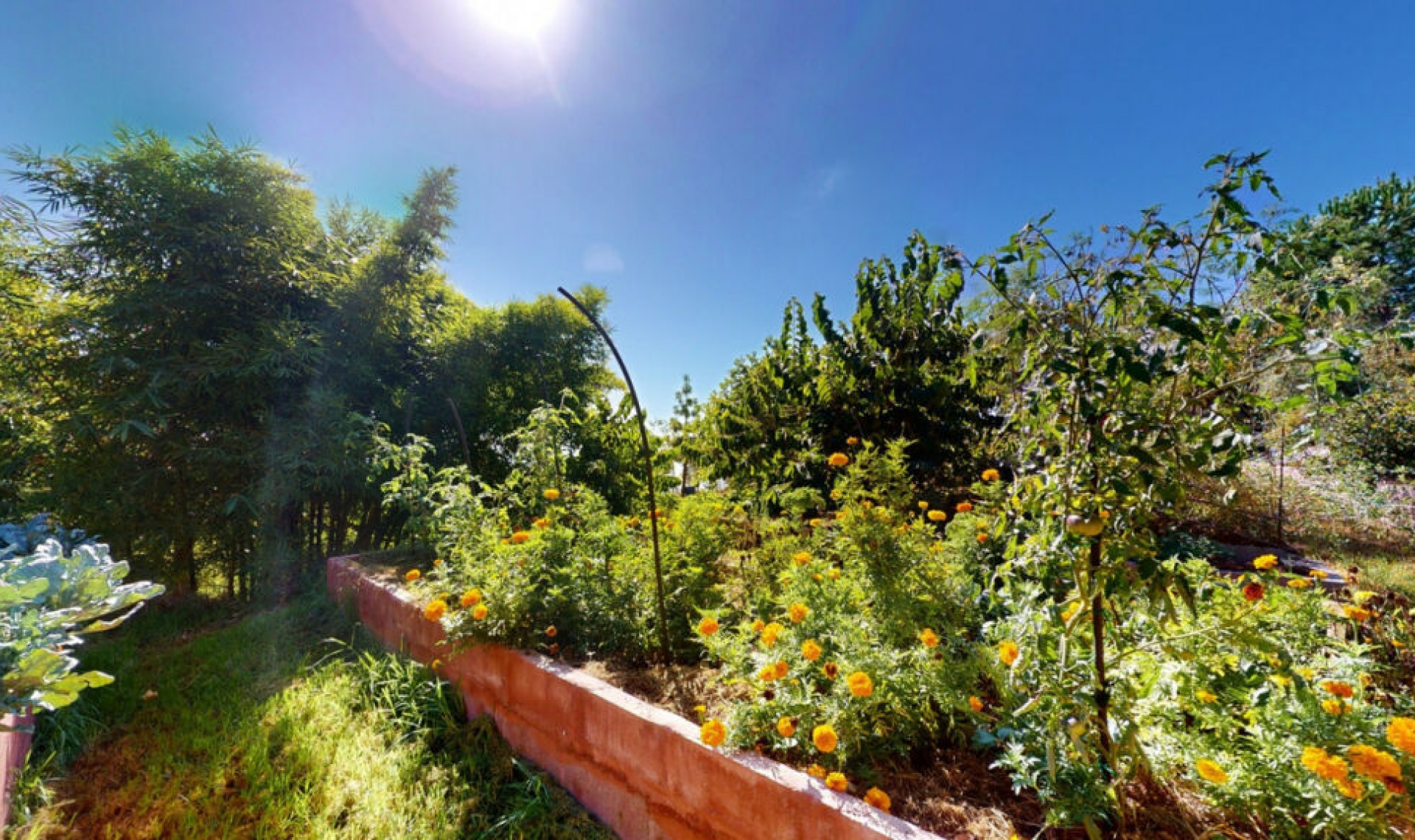 Resale - House -
Nerja