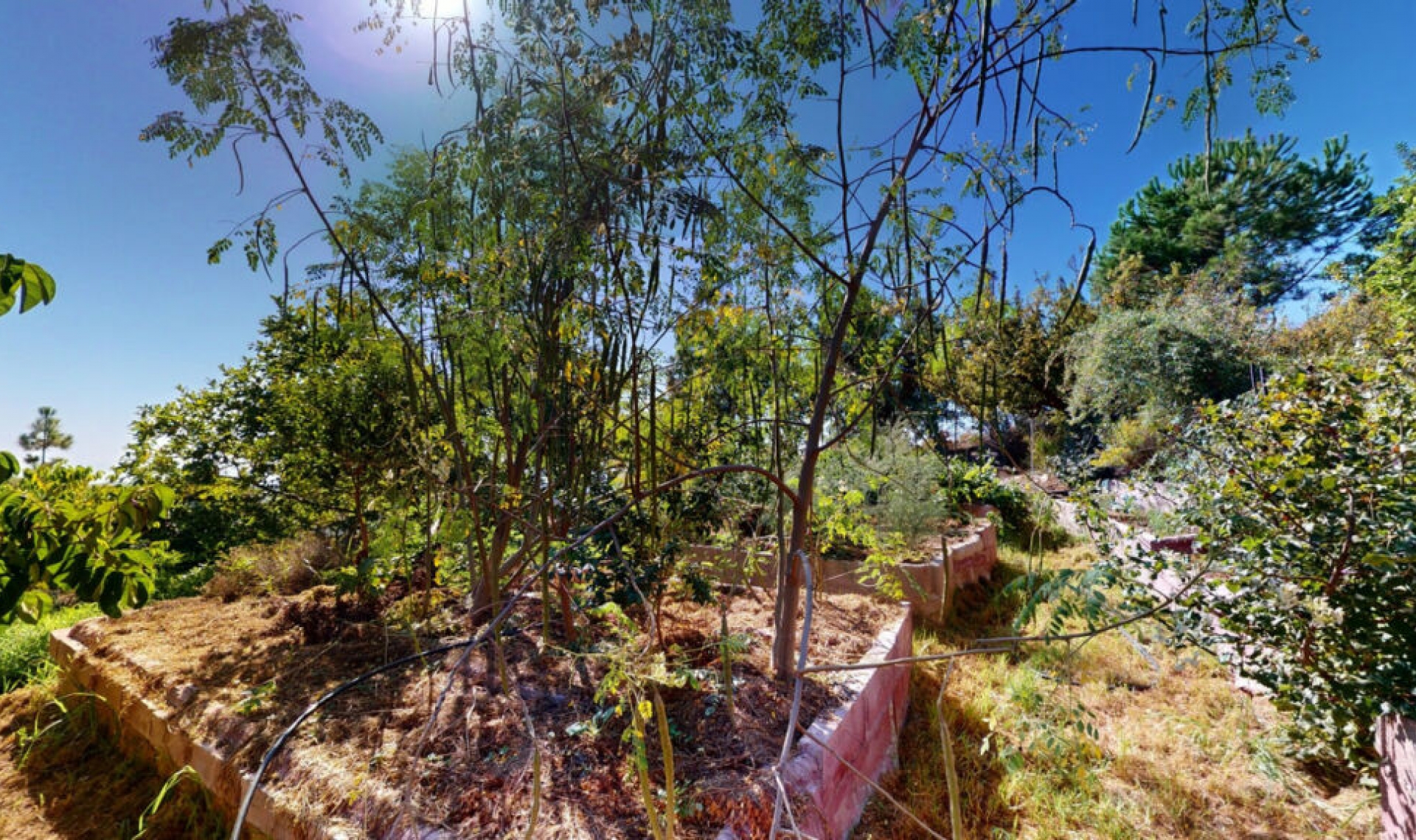 Resale - House -
Nerja