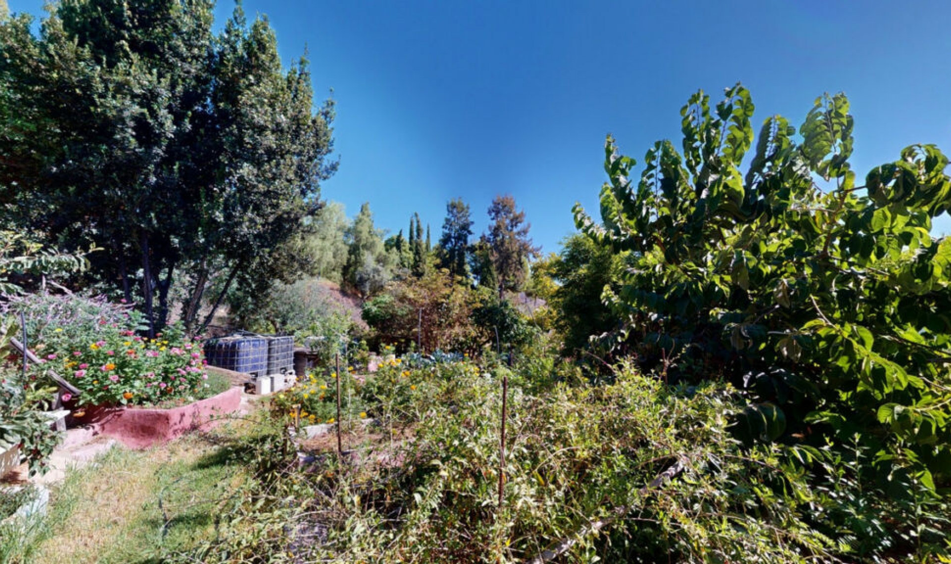 Resale - House -
Nerja