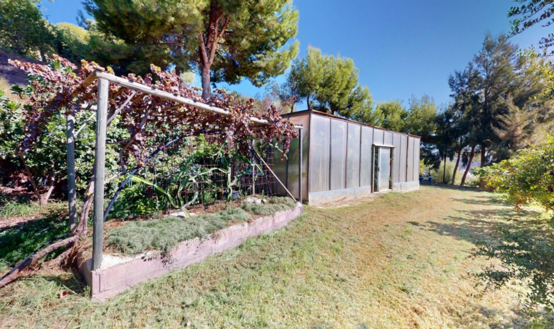 Resale - House -
Nerja