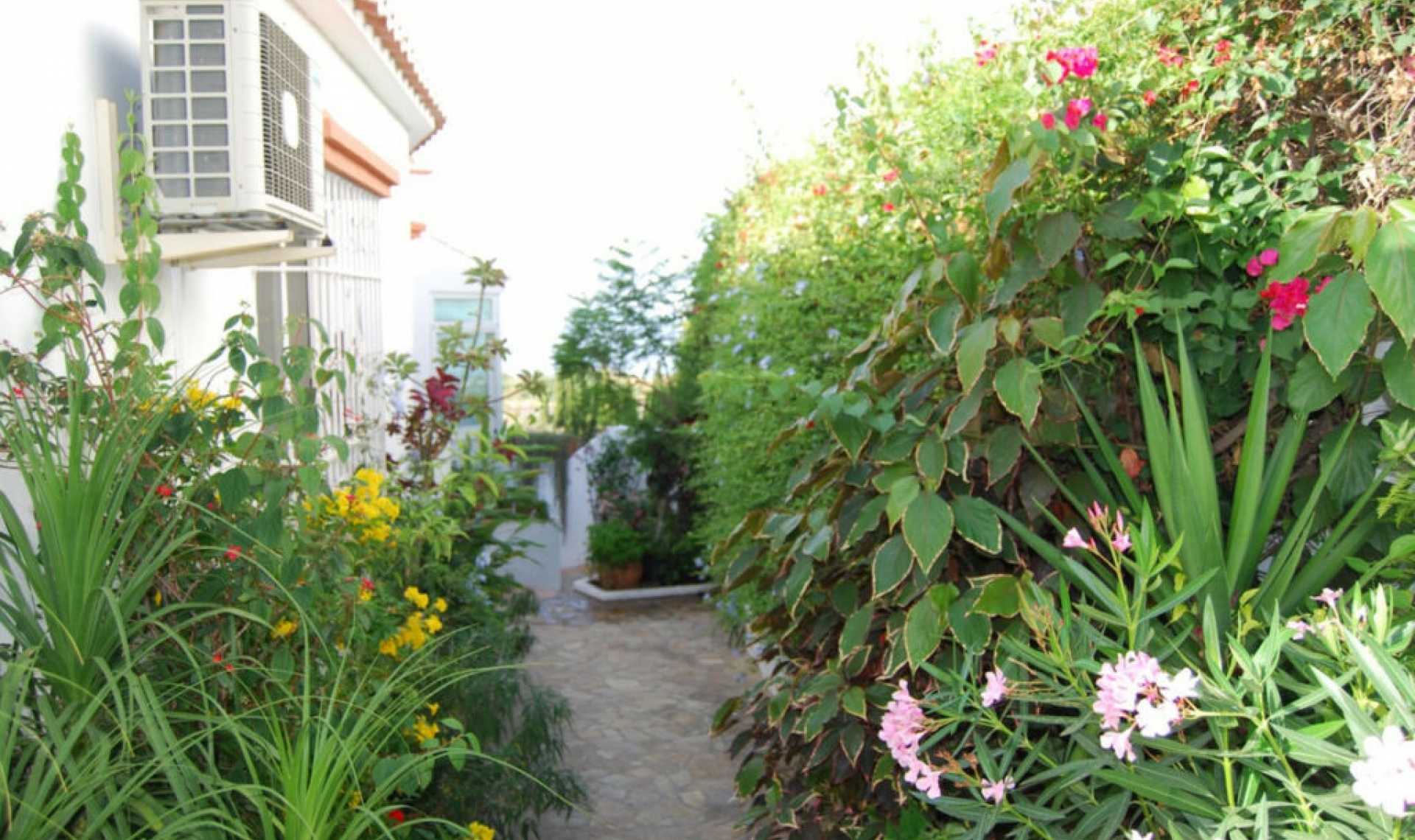 Resale - House -
Nerja
