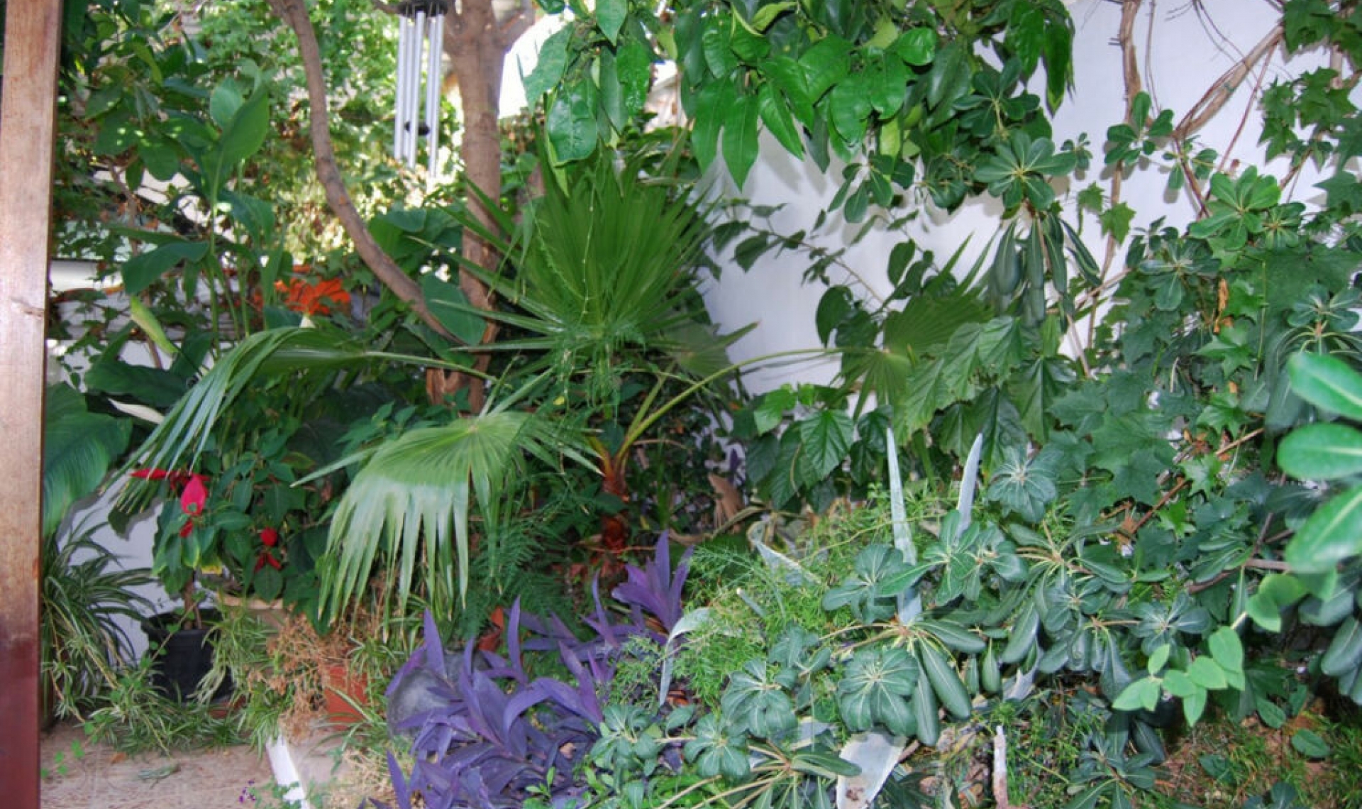 Resale - House -
Nerja